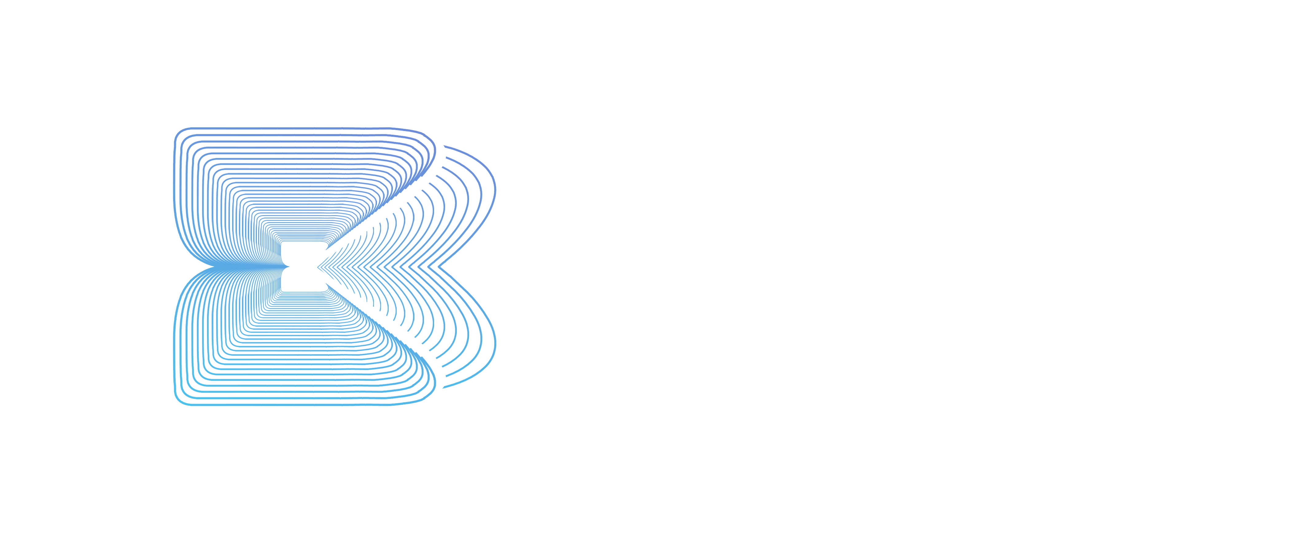 BLUEROCK HORIZON ASSET MANAGEMENT LTD